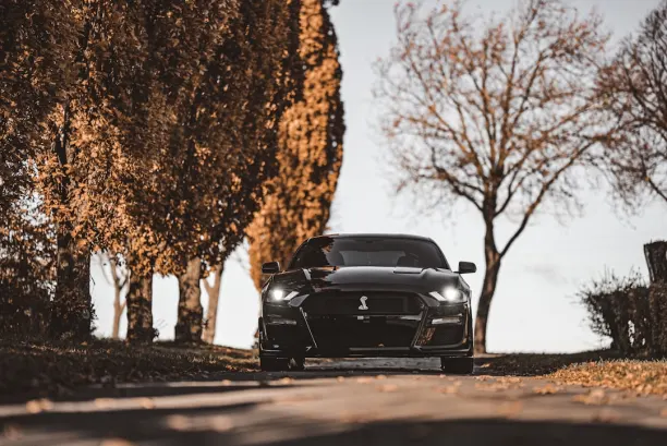 קזינו ליאון וינס אפליקציית Android/iOS